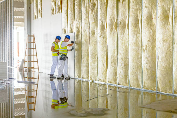 Eco-Friendly or Green Insulation Solutions in Starke, FL